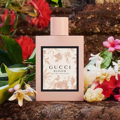 who sells gucci bloom perfume